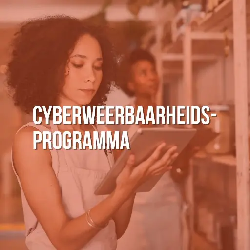 Cyberweerbaarheidsprogramma Micro-MKB
